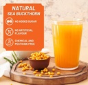 himalayan-sea-buckthorn-juice-berry-pulp-713FV4qiZlL.jpg