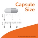 now-foods-coral-calcium-1000-mg-100-veg--61U1Eq+WoYL.jpg