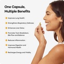 yourhappylife-liver-and-lung-detox-suppl-61JBdgAxMqL.jpg