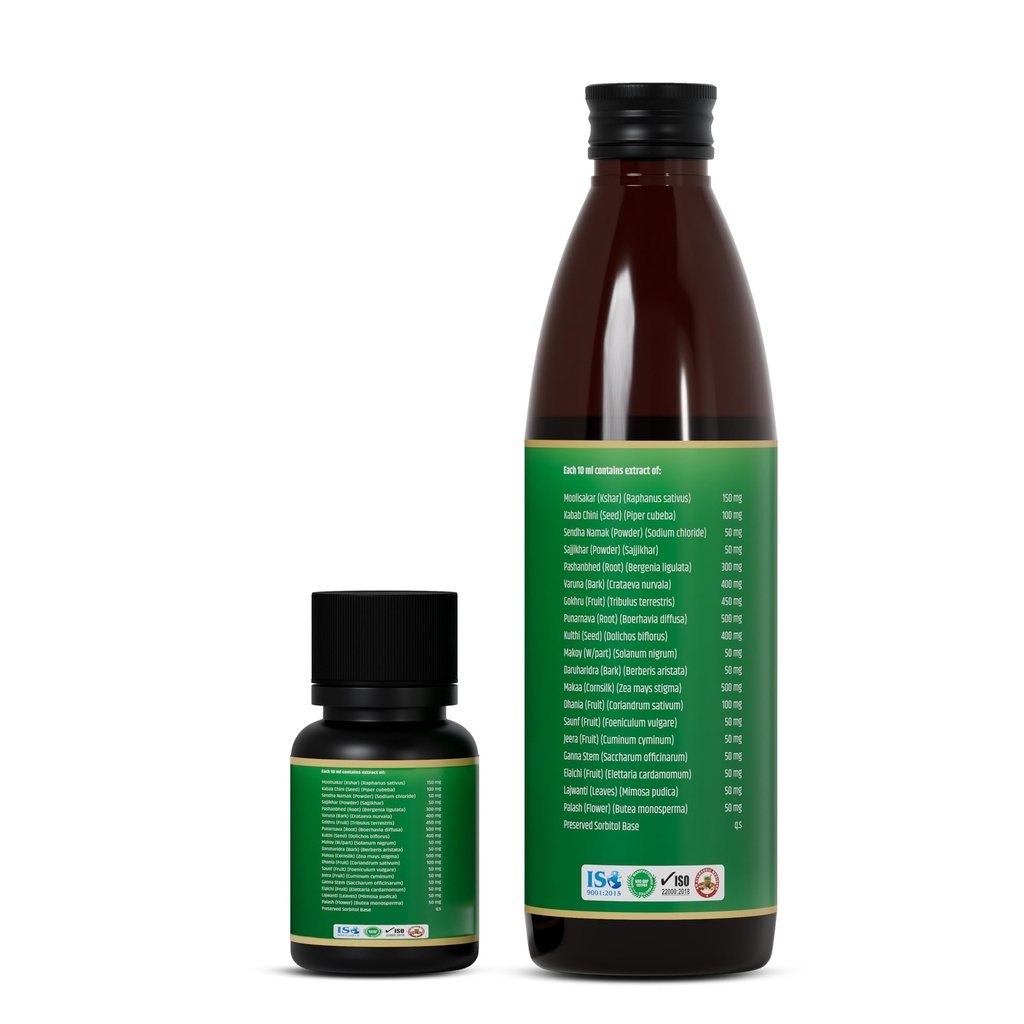 jeena-sikho-pathri-shuddhi-kit-ayurvedic-71+CBebnioL.jpg