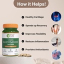 pure-nutrition-glucosamine-tablets-for-j-61TFmg1mc2L.jpg