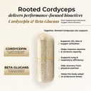 rooted-actives-cordyceps-militaris-mushr-61yfkth7csL.jpg