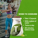 myfitfuel-green-tea-extract-90-polypheno-61tftXdSNWL.jpg