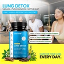 sunme-lung-detox-supplement-60-tablets-n-81L7lEf7LDL.jpg