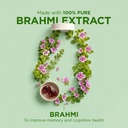 arth-brahmi-gummies-for-memory-focus-con-61EkNUJ7oBL.jpg