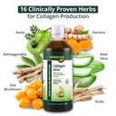 vansaar-45-collagen-juice-500-ml-collage-71NFq76GhiL.jpg
