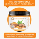 curcuminpro-complete-curcumin-bulk-powde-2.jpg