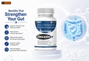 zincasin-p-by-leewell-zinc-carnosine-pre-61MDzOf0lQL.jpg