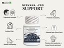 nervana-pro-by-leewell-micronized-palmit-71uQ67PJ84L.jpg