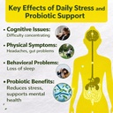 mental-health-probiotics-prebiotics-sach-61VyFB0RPfL.jpg