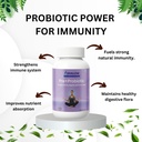 pre-pro-biotic-with-16-strains-prebiotic-61J+nGkS5WL.jpg