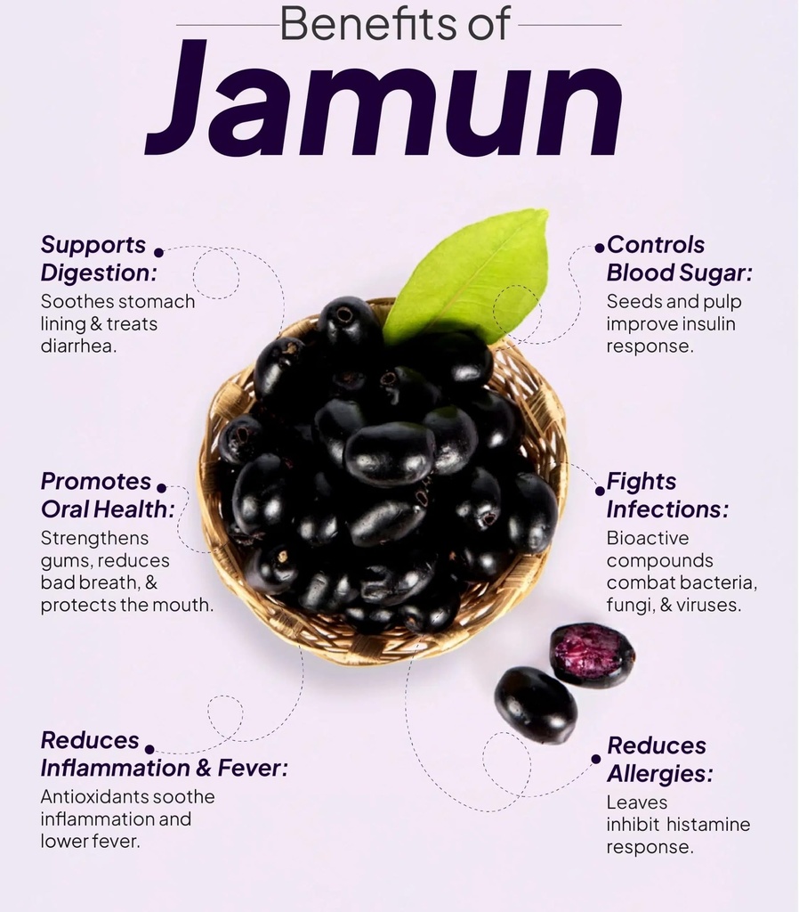 naturals-organic-jamun-seed-powder-100g--81eDNo9OLkL.jpg
