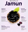 naturals-organic-jamun-seed-powder-100g--81eDNo9OLkL.jpg