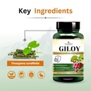 giloy-vegan-capsules-71R+yZIIOeL.jpg