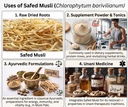 safed-musli-raw-50gm-energy-immunity-boo-81qsmUI-mUL.jpg