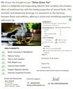 rlb-choice-detox-loose-leaves-green-tea--719o03DIEvL.jpg