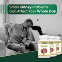 jeena-sikho-gfr-kidney-care-powder-herba-71TlZa5DFdL.jpg
