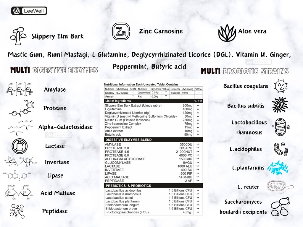 zincasin-gi-leewell-chewable-digestive-e-81AzGRjEpLL.jpg