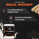 nutrela-sports-mass-gainer-protein-powde-61rDq1W85VL.jpg