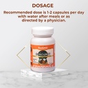 curcumin-capsules-by-rajasthan-aushdhala-61sww+WGkoL.jpg