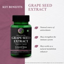 grape-seed-extract-400-mg-60-veg-capsule-61reQ13cZLL.jpg