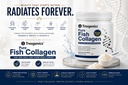 trexgenics-pure-fish-collagen-unflavoure-71PYd2G2-1L.jpg