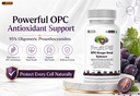 leewell-opc-grape-seed-extract-500mg-wit-71xTlCZY+1L.jpg