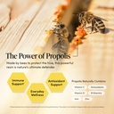 beekeeper-s-naturals-propolis-throat-spr-81bW42rGfmL.jpg