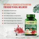 naturally-sourced-astaxanthin-4mg-suppor-61j2g4HC9rL.jpg