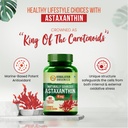 naturally-sourced-astaxanthin-4mg-suppor-61BEGC0BmfL.jpg