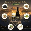 shilajit-lixpro-suspension-500ml-with-fr-81kJTZYkvVL.jpg