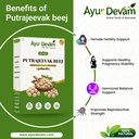 putrajeevak-beej-putrajivak-seed-putriji-91Gm1IjfT-L.jpg