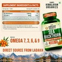 vlado-s-himalayan-organics-sea-buckthorn-71njzSvFtpL.jpg