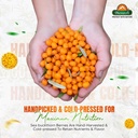 biosash-sea-buckthorn-wellness-combo-him-71u-S1sLiLL.jpg