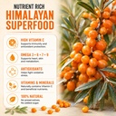safehub-himalayan-sea-buckthorn-pulp-300-81ge+XgfXnL.jpg