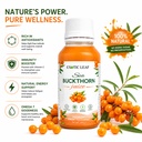 sea-buckthorn-juice-100ml-rich-in-vitami-71G2HeIJD4L.jpg