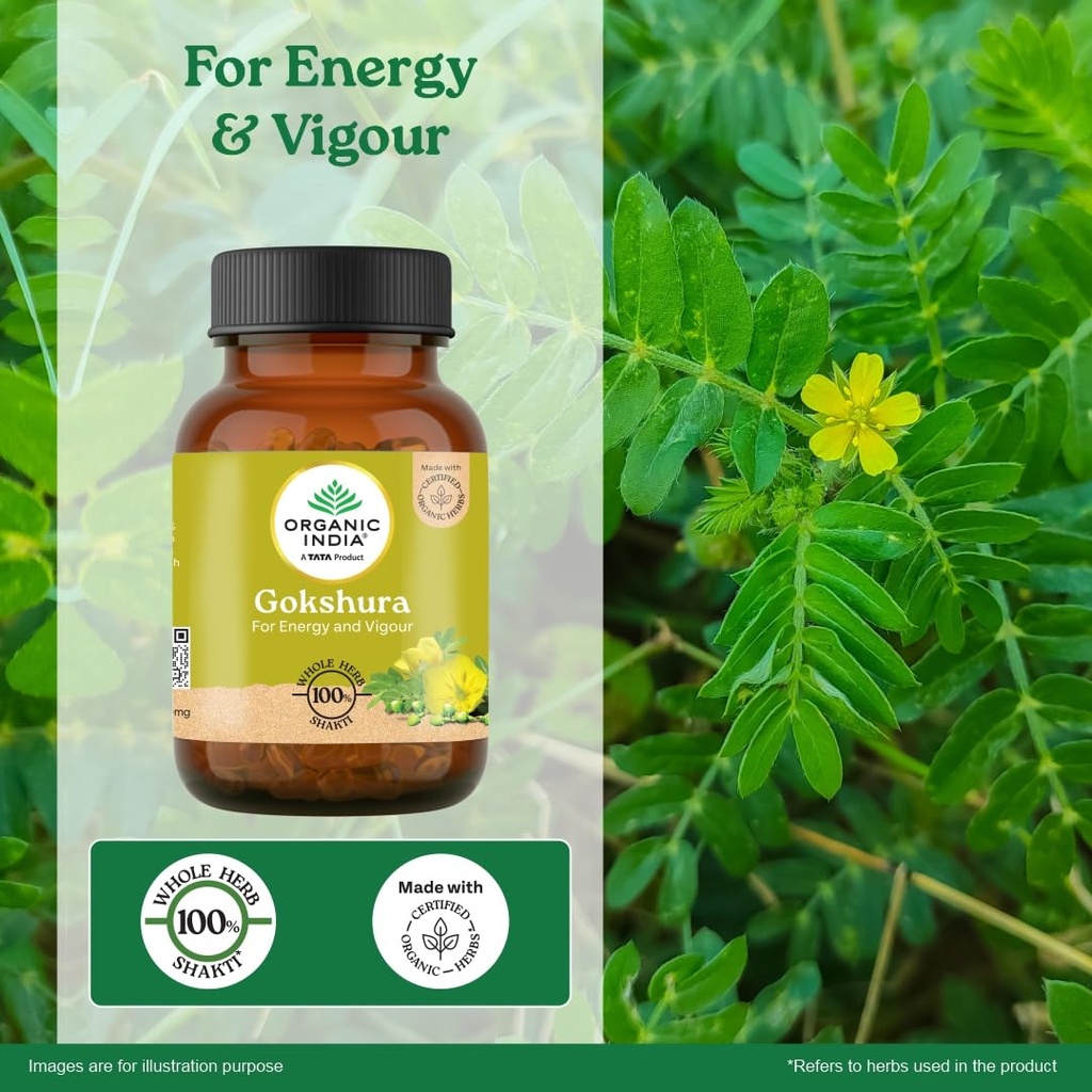 a-tata-product-organic-india-pure-gokshu-71ORcSVASQL.jpg