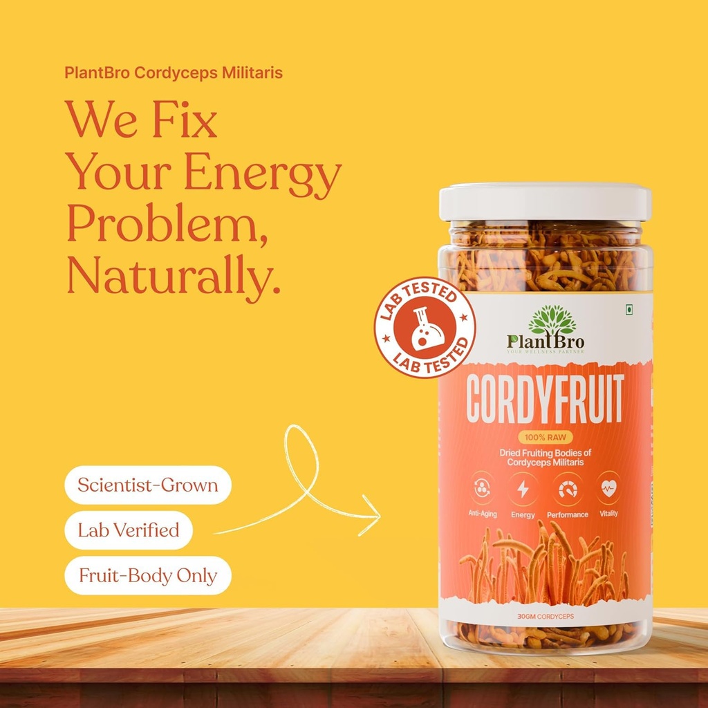 cordyfruit-100-raw-cordyceps-militaris-f-718LIUWwBXL.jpg