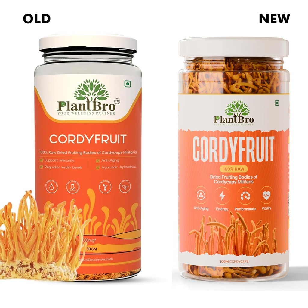cordyfruit-100-raw-cordyceps-militaris-f-71etN-fJ9ML.jpg