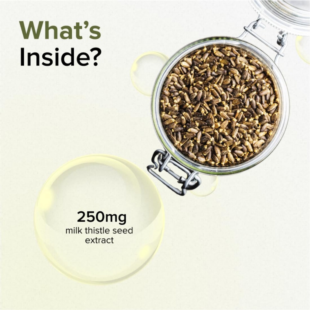 gnc-milk-thistle-250mg-with-80-silymarin-61SVJ7EbgYL.jpg