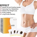 piercell-perfect-detox-slimming-patch-ef-61uVR9bs0QL.jpg