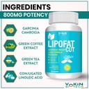 vokin-biotech-lipofat-cut-advanced-weigh-71vp0QEVVCL.jpg