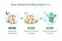 10-pieces-100-herbal-and-gentle-ingredie-61DWe60j7VL.jpg