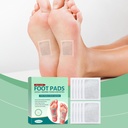 herbal-detox-foot-pads-for-toxin-removal-61ydhvEtzcL.jpg