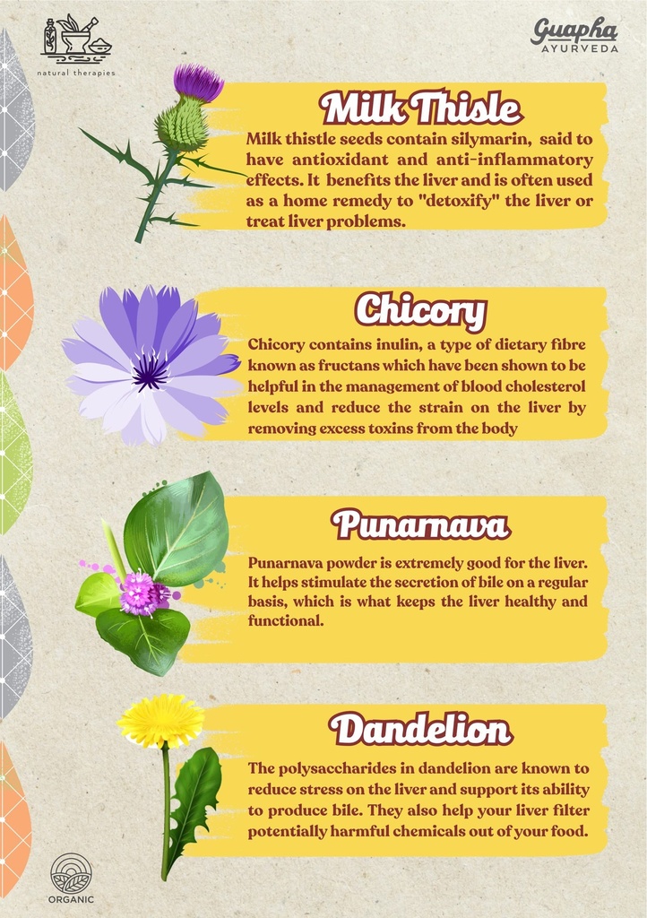 liver-wellness-natural-liver-detox-suppo-81RaAahQn0L.jpg