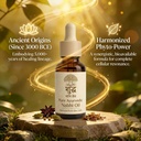 ayurvedic-nabhi-oil-belly-button-drops-n-71maPypdRlL.jpg