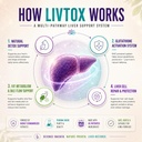 l-omaya-livtox-liver-detox-supplement-wi-71yEJvRUmkL.jpg