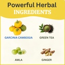 slimmer-ras-herbal-wellness-syrup-herbal-71no9EXT0rL.jpg