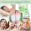 birdline-foot-patches-for-cleansing-remo-71kYFAd6P-L.jpg