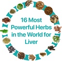 fatty-liver-ayurvedic-supplement-650mg-h-71R43Y--bJL.jpg